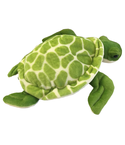 Sheldon The Sea Turtle Build Your Own Stuffy S547