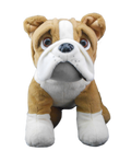 Buddy the Bulldog Build Your Own Stuffy S553