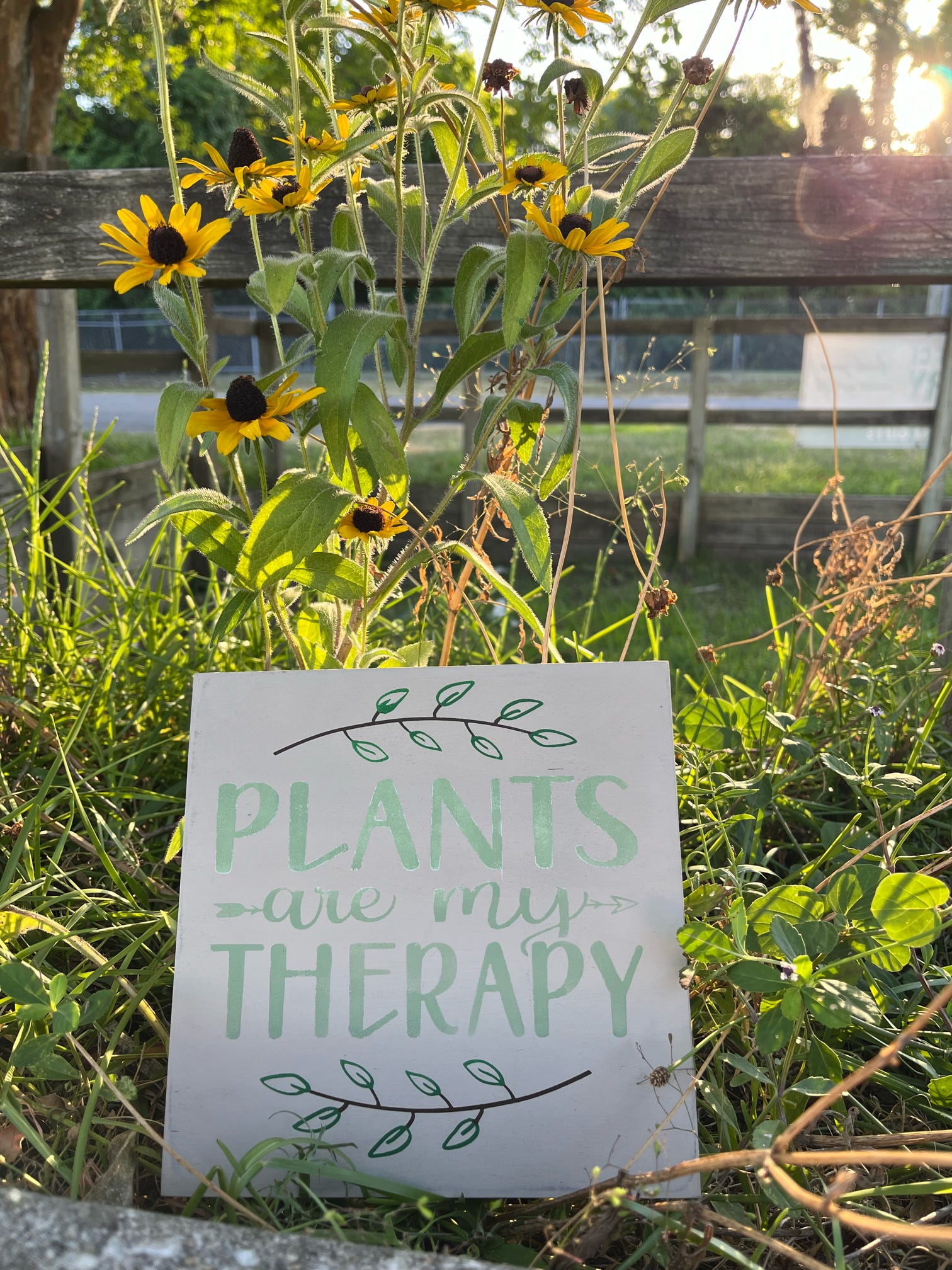 Plants Are My Therapy P13018