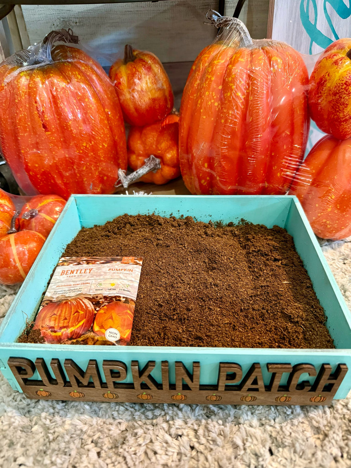 Pumpkin Planter Box P13475