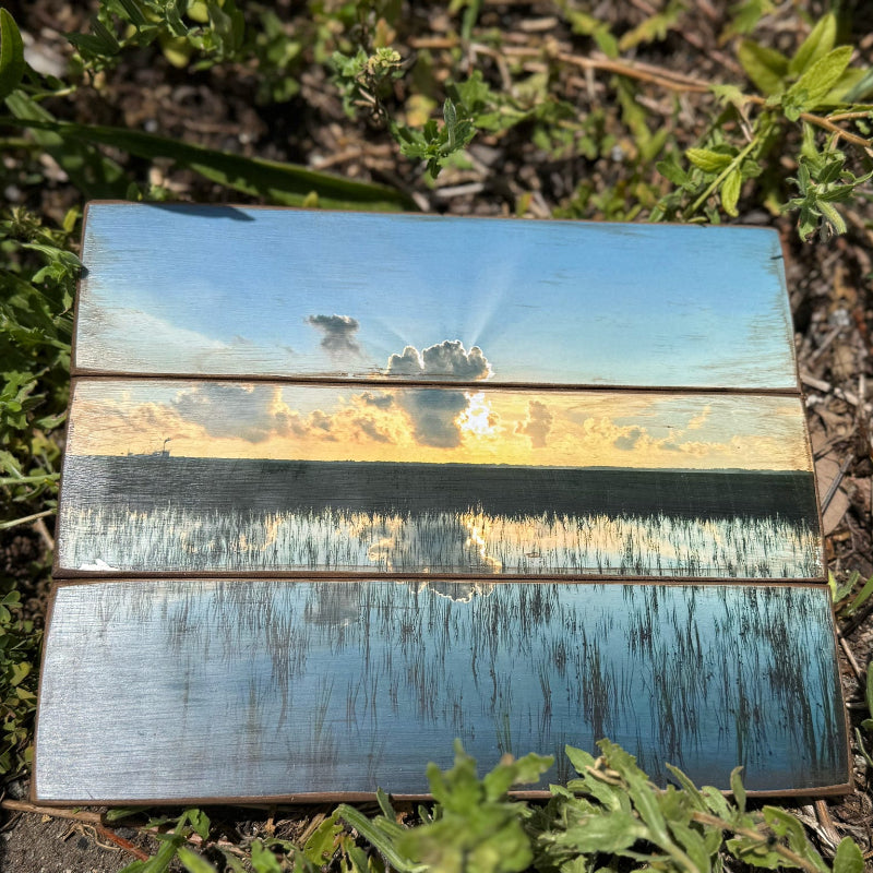 Marsh Life 8x10 Photo Pallet