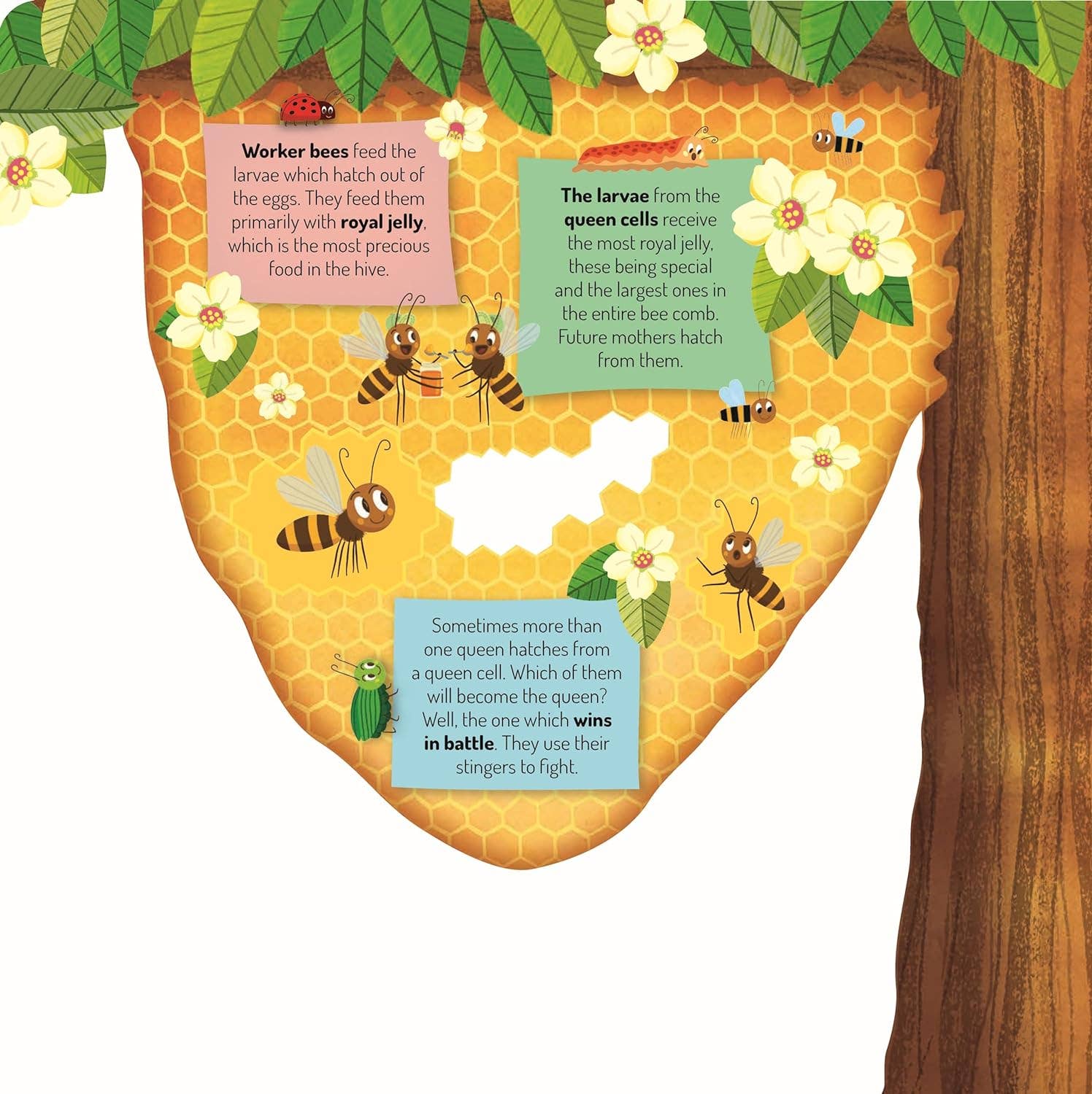 Discovering the Busy World of the Beehive-Kid's Picture Book