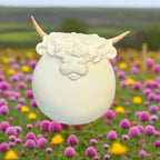 White ceramic pot with decorative top on a wooden surface