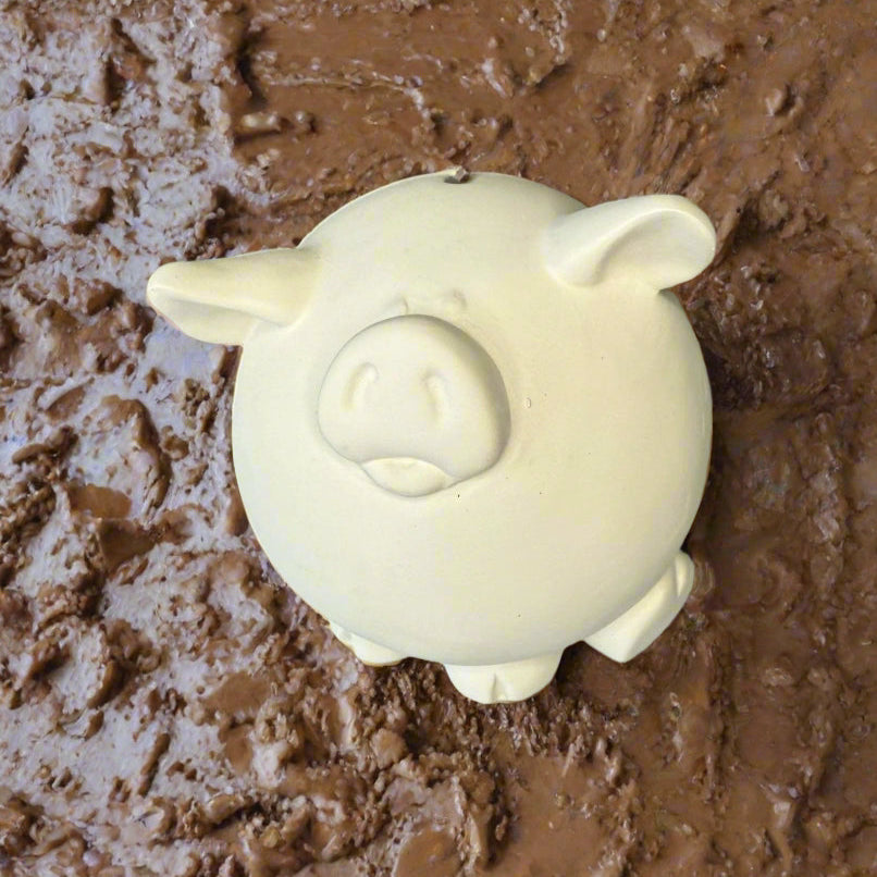 Ceramic Round Pig Bank