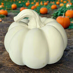 White pumpkin on a wooden surface with a rustic wooden wall background