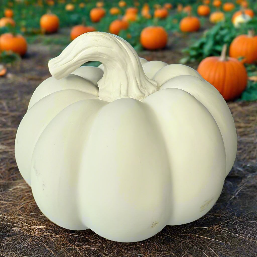 White pumpkin on a wooden surface with a rustic wooden wall background
