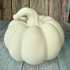White pumpkin on a wooden surface with a rustic wooden wall background