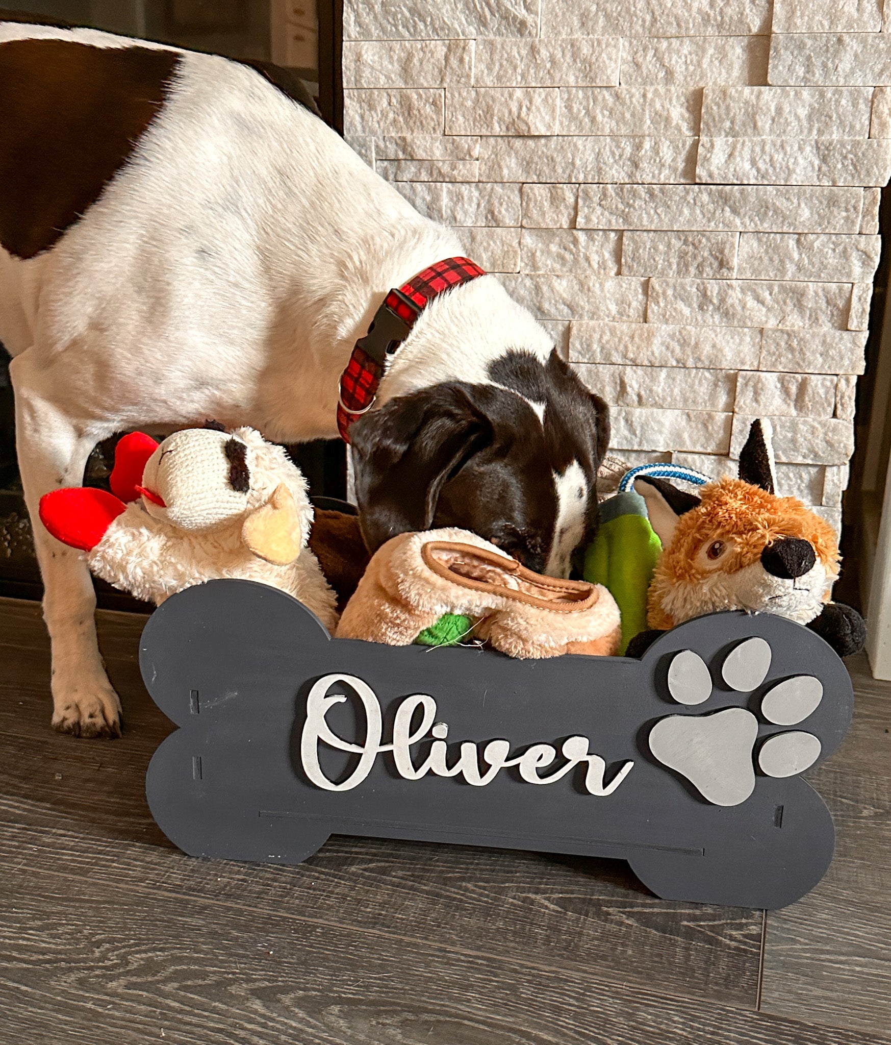 Dog Toy Box Personalized 18