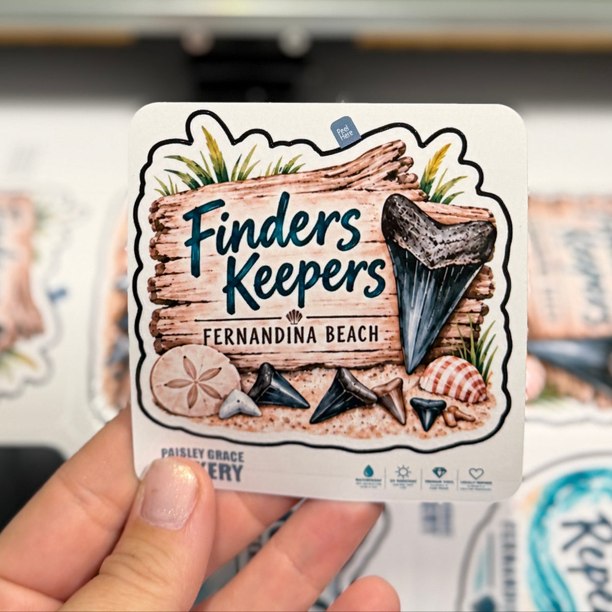 Finders Keepers Fernandina Beach Shark Tooth 2.75" Sticker G0725