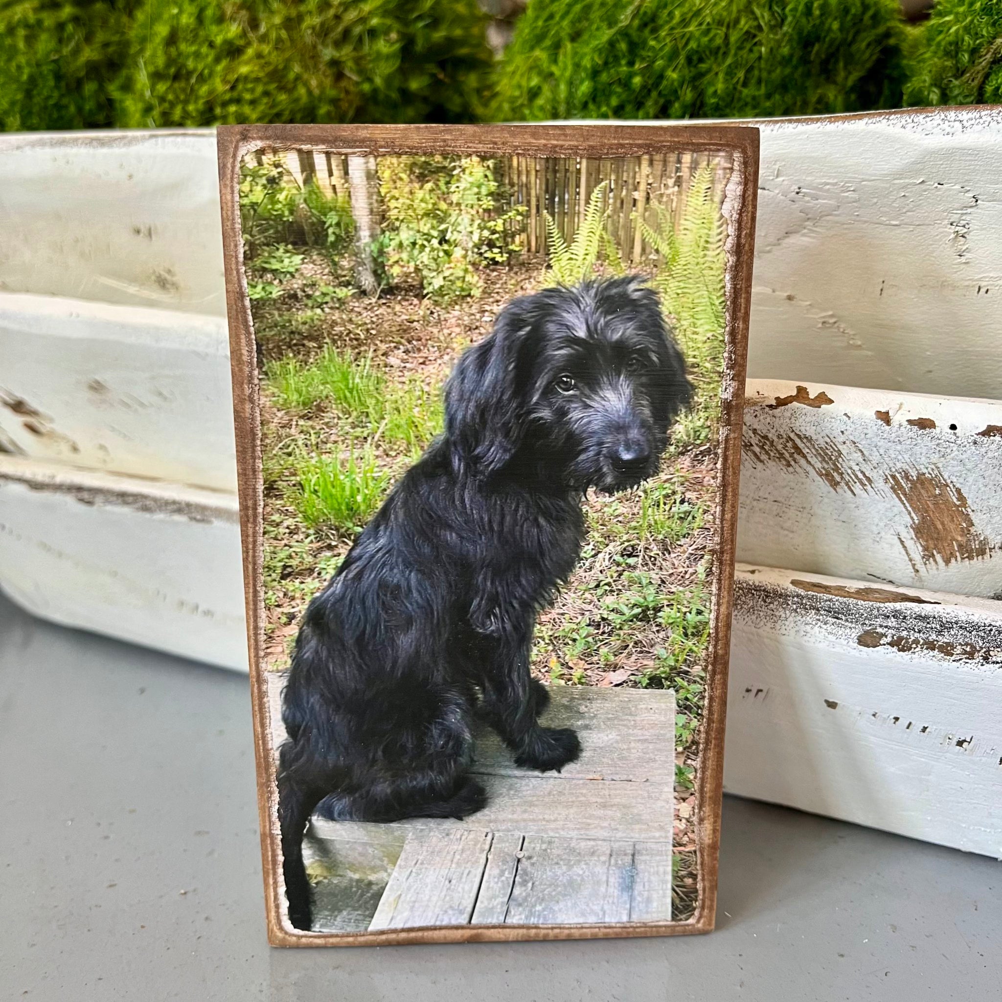 Wood Photo Blocks and Photo Pallets
