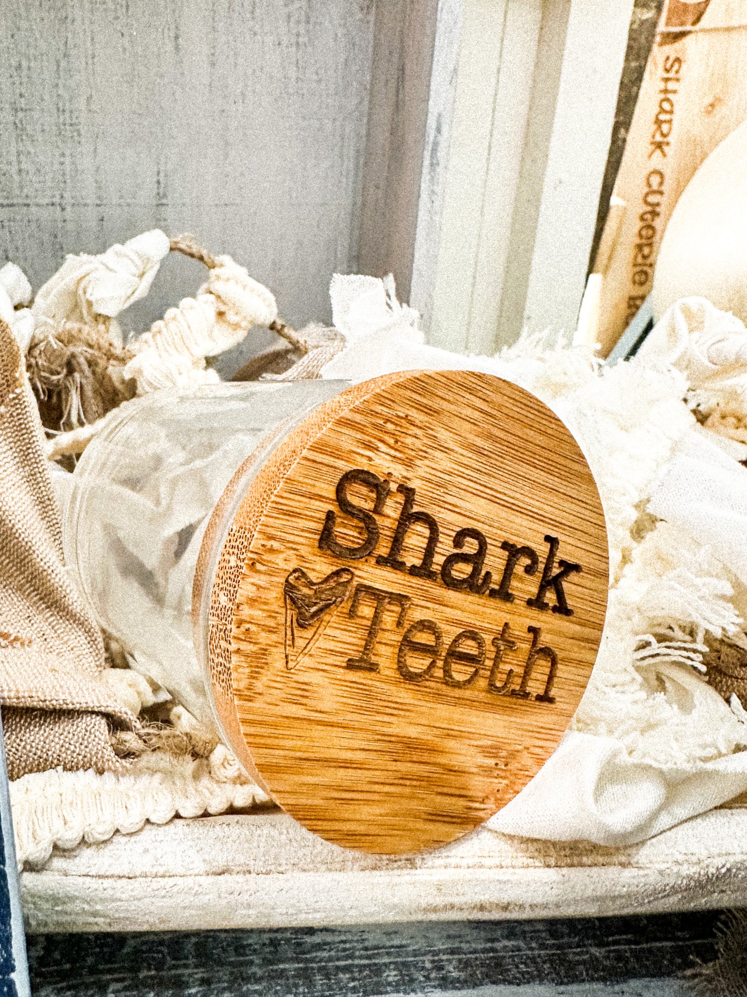 Shark Teeth Mini Jar