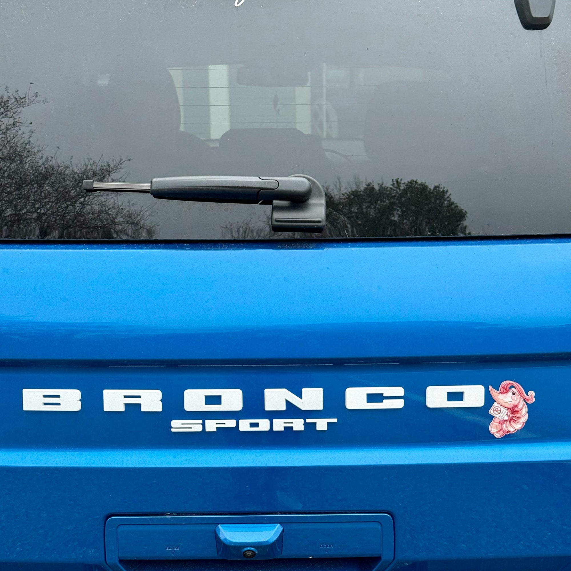 No Paid Parking Shrimp Magnet