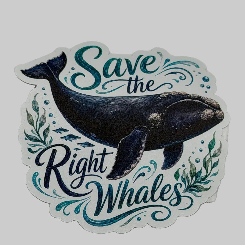 Sticker with a whale illustration and 'Save the Right Whales' text on a white background