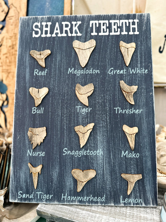 PAINTED* Shark Teeth Guide 12x16
