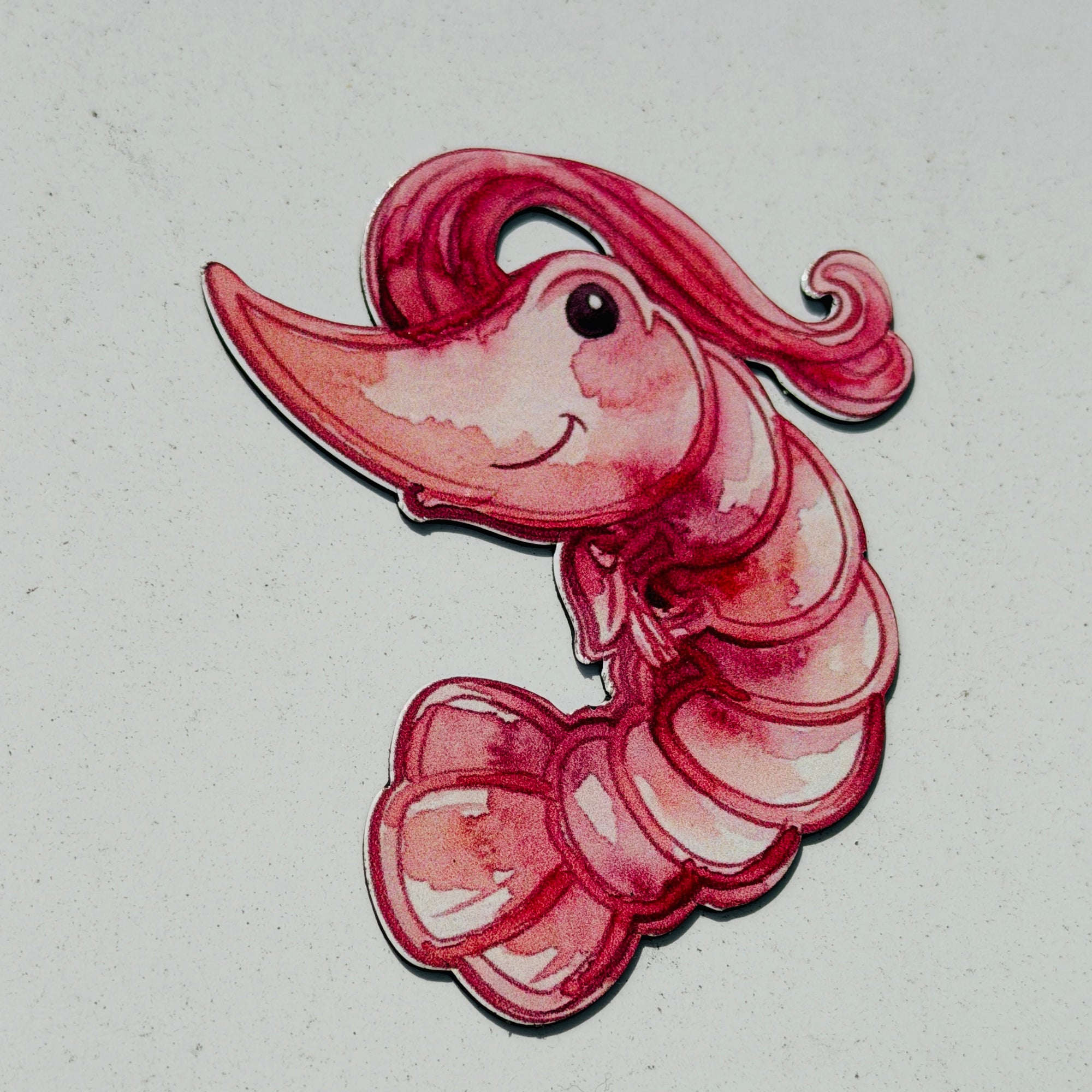 Shrimp Magnet