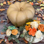 Sola Flower Pumpkin Project