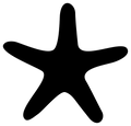 Starfish Paint Pour Shape P02869