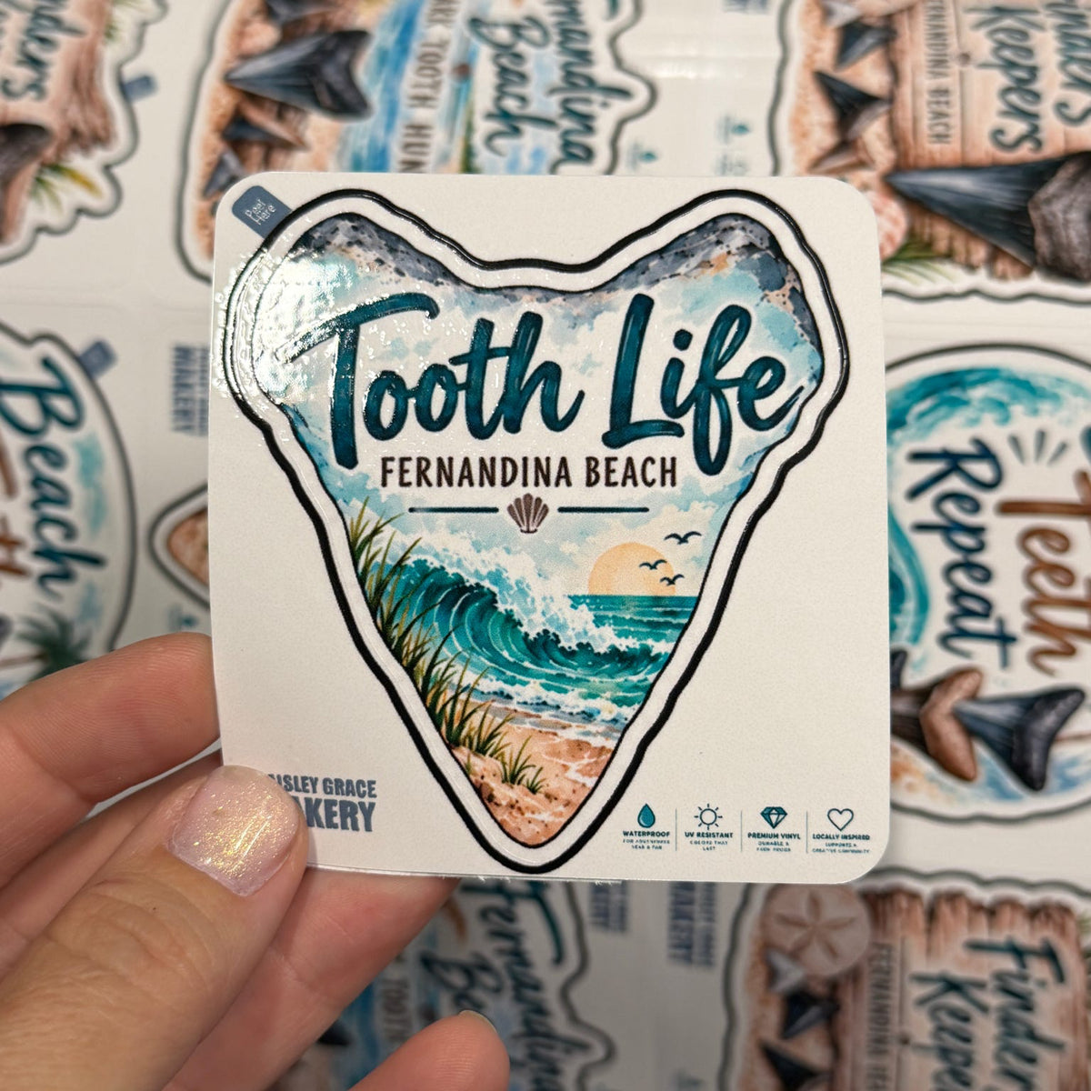 Tooth Life Fernandina Beach Shark Tooth 2.75" Sticker G0724