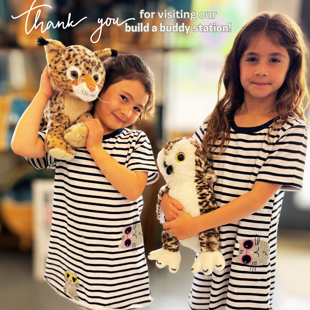 BOOK A BUILD A STUFFY PARTY