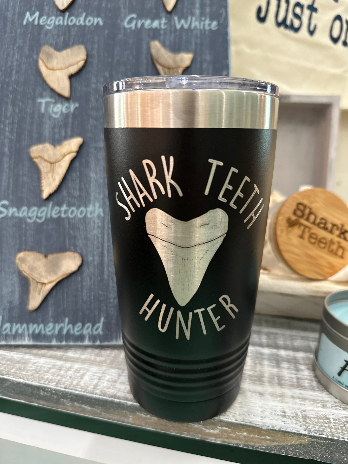 Shark Teeth Bundle P2598