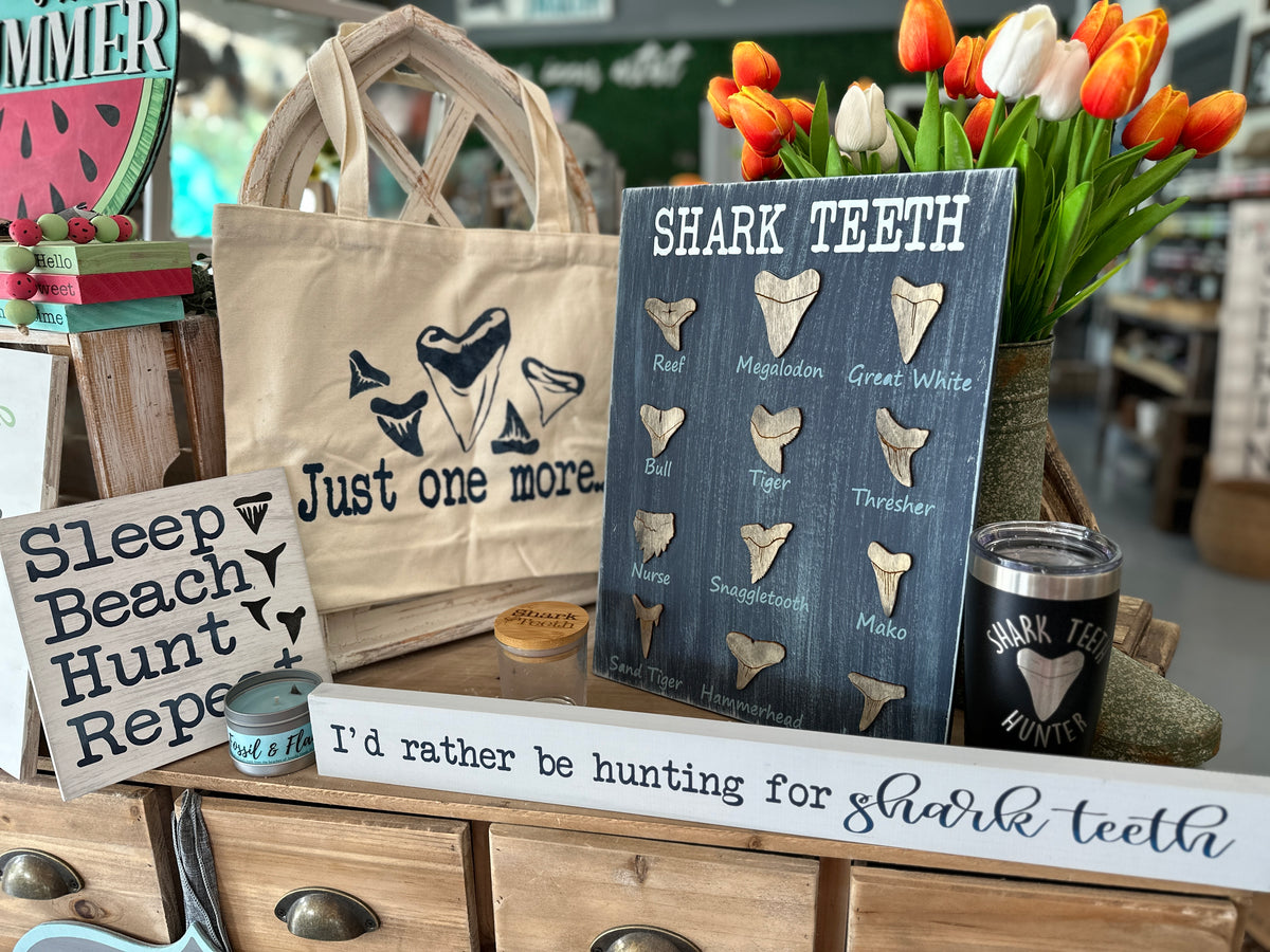 Shark Teeth Bundle P2598