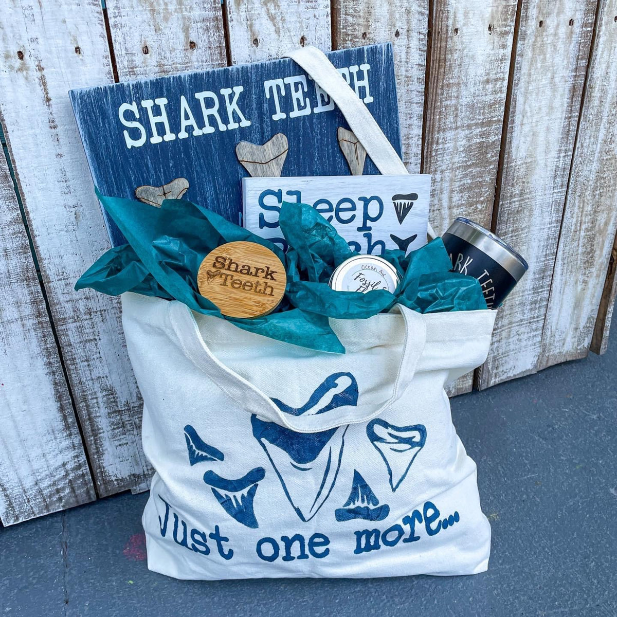 Shark Teeth Bundle P2598