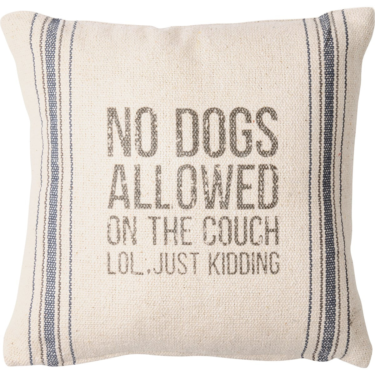 No Dogs Allowed On The Couch Pillow