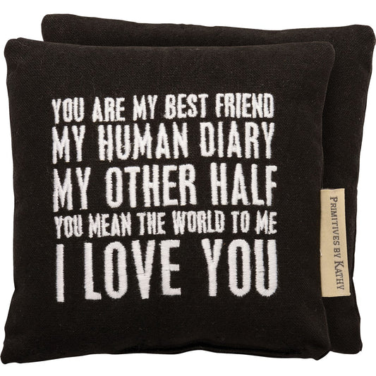You Are My Best Friend Mini Pillow