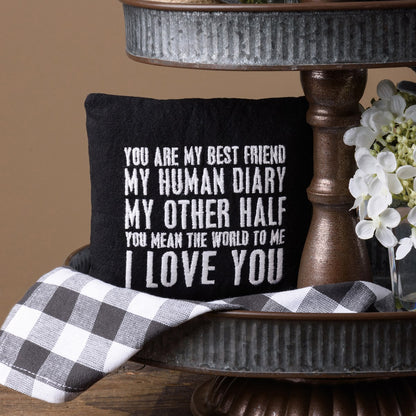 You Are My Best Friend Mini Pillow