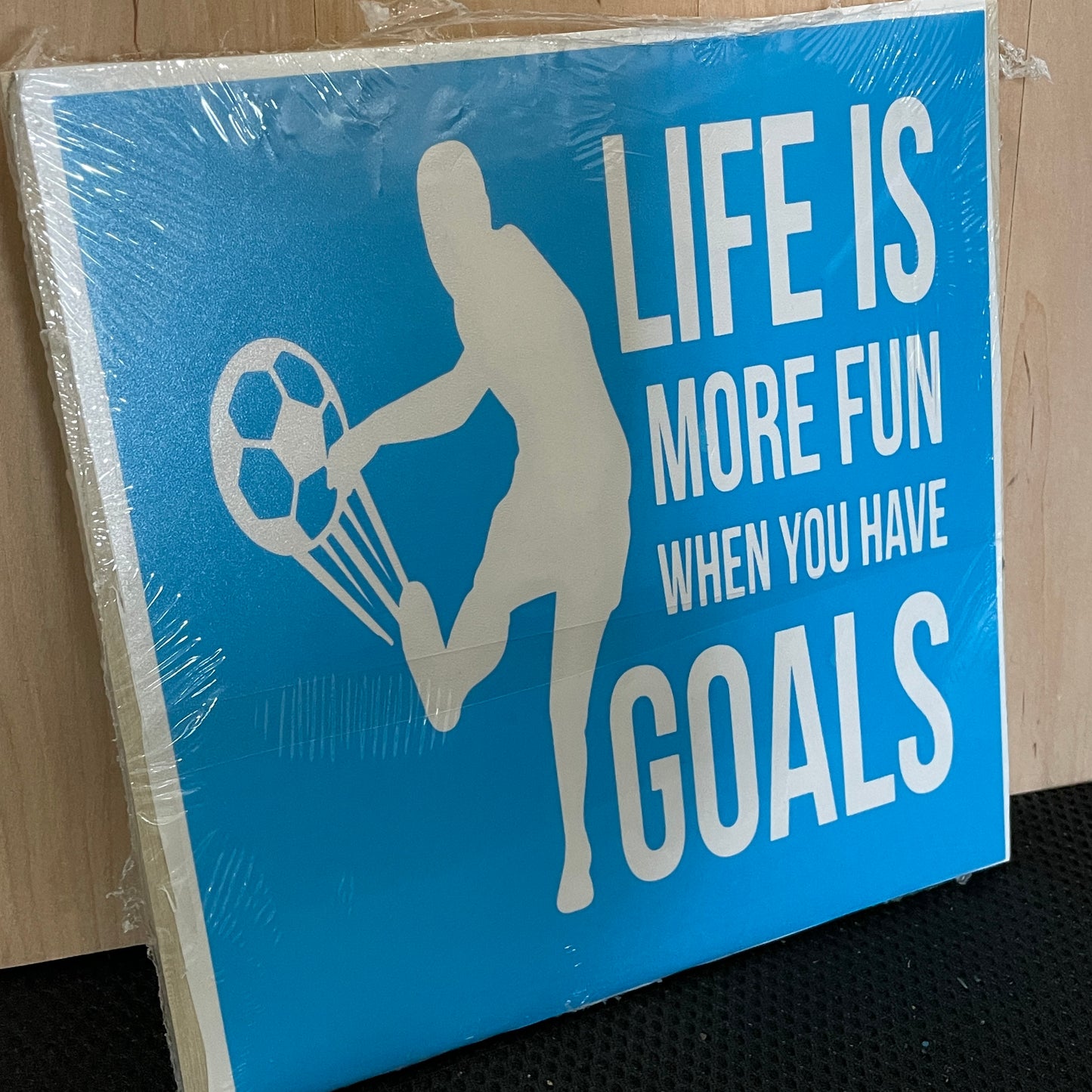 Life is More Fun When You Have Goals Mini - Paisley Grace Makery