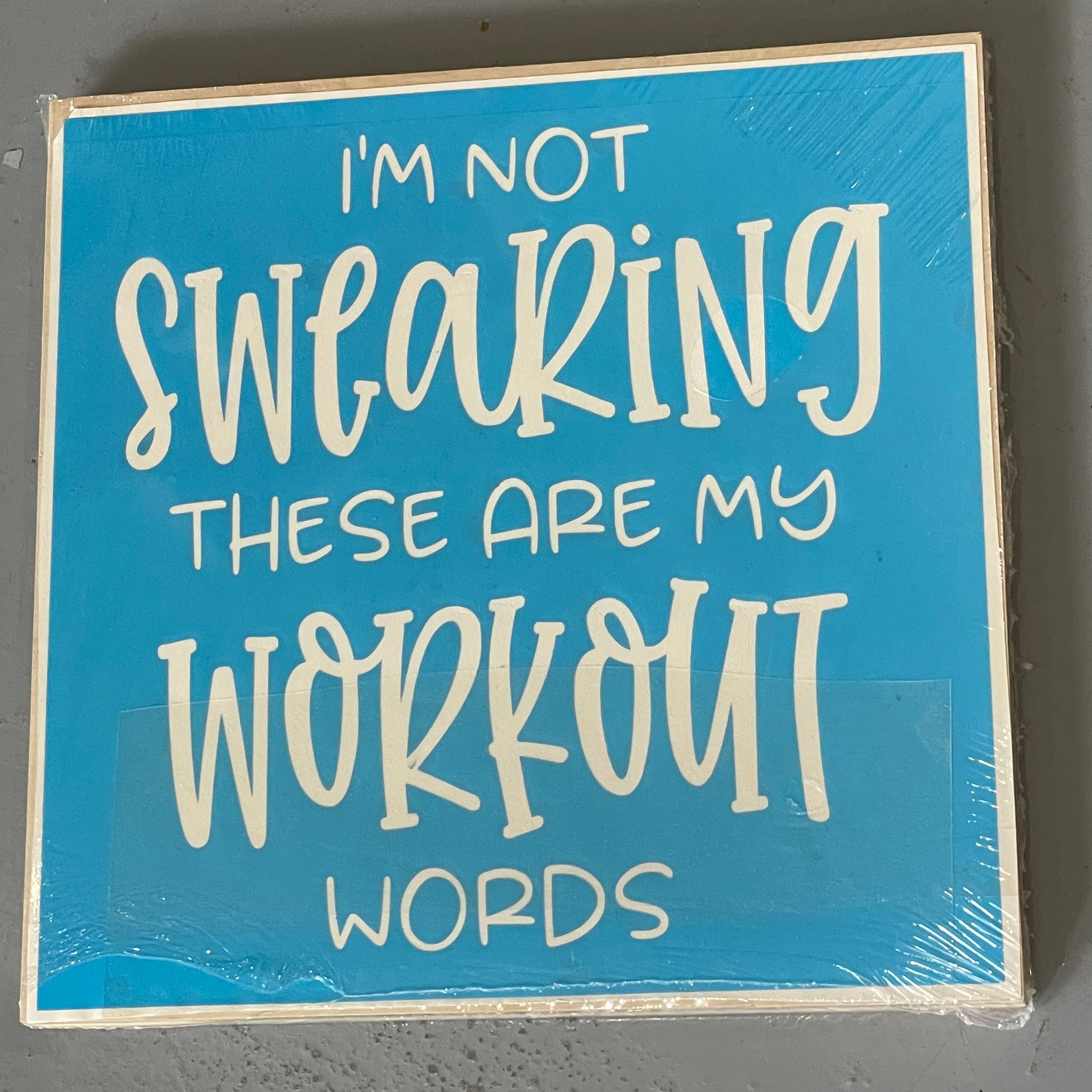 I'm Not Swearing These are my Workout Words Take and Make Mini - Paisley Grace Makery
