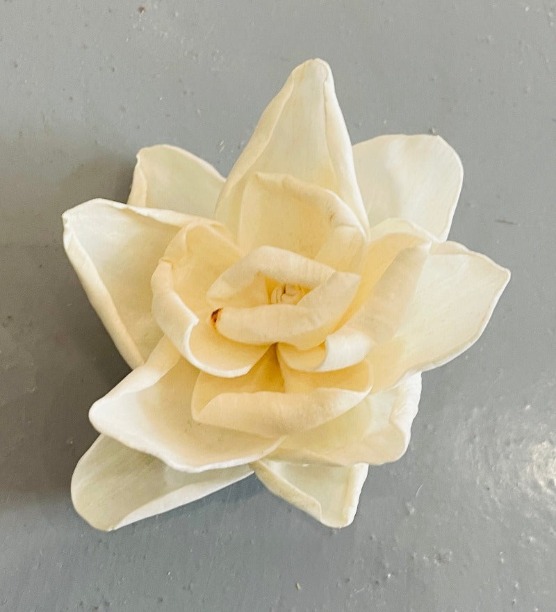 ADD ONS - Paisley Grace Makery