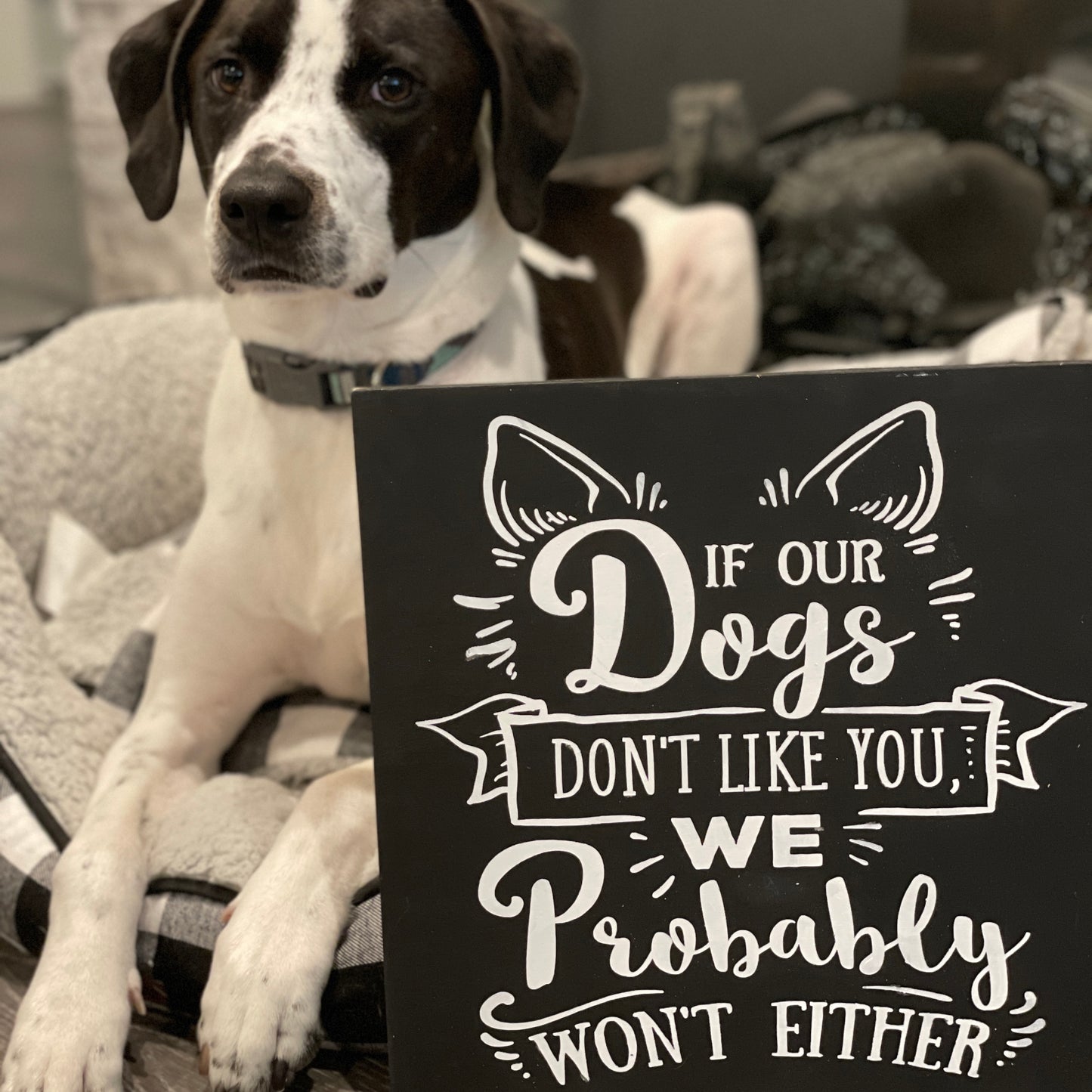 If Our Dogs Don't Like You We Probably Won't Either: SQUARE DESIGN - Paisley Grace Makery