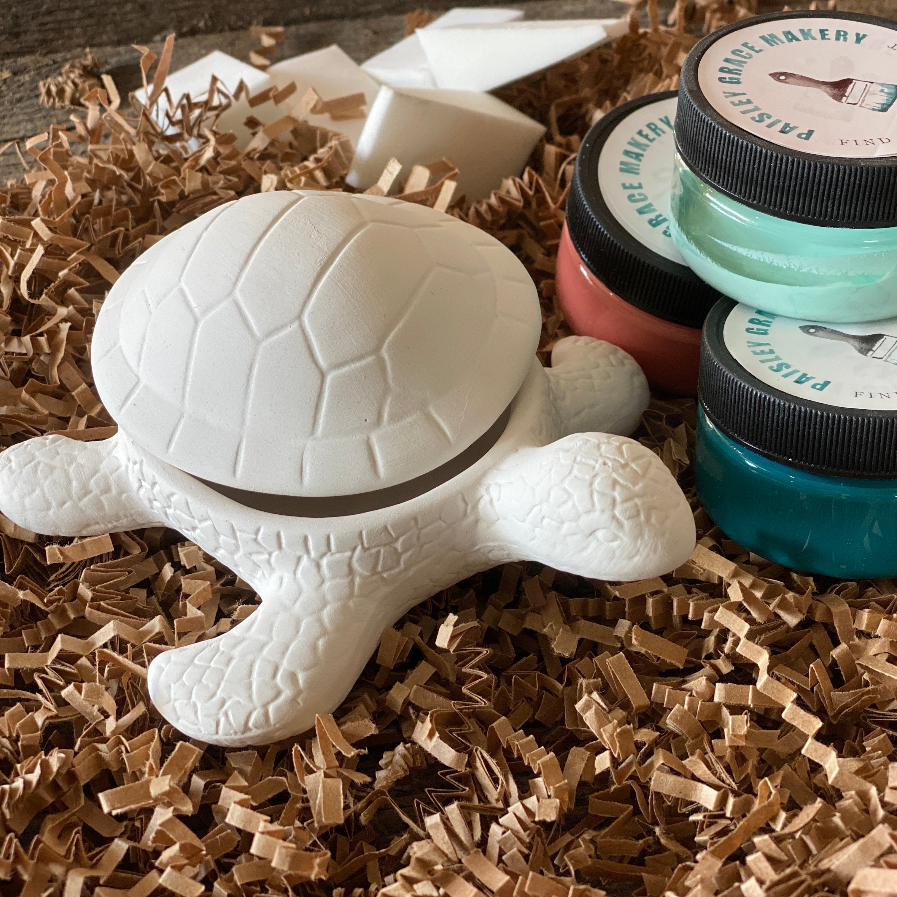 Turtle Box: Ceramics - Paisley Grace Makery