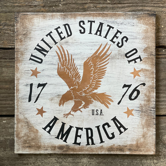 United States of America with Eagle: SQUARE DESIGN - Paisley Grace Makery
