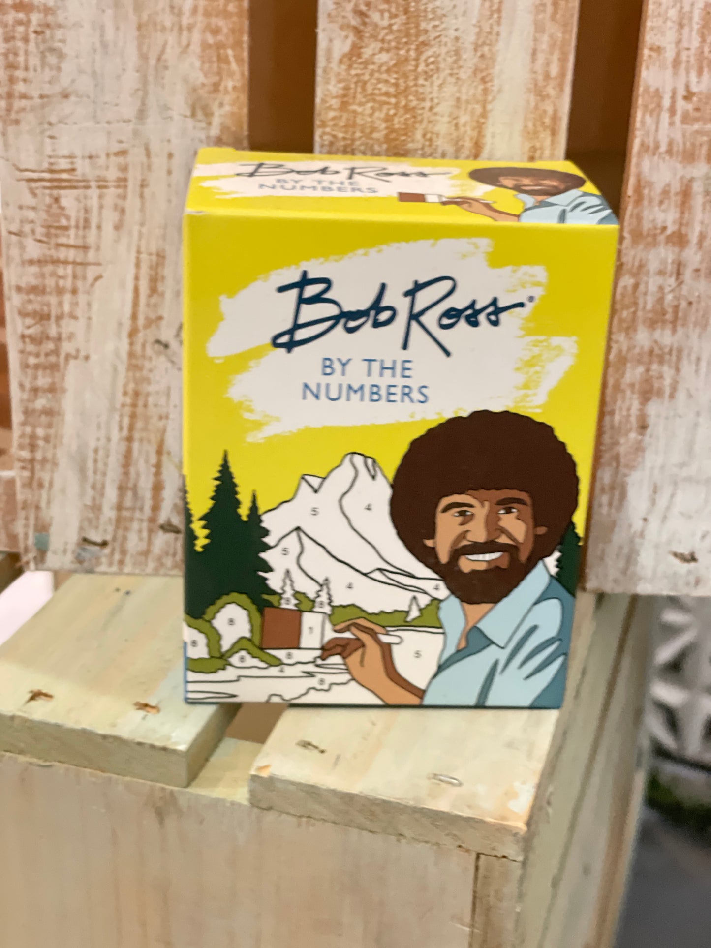 Bob Ross Paint By Numbers Mini Canvas - Paisley Grace Makery