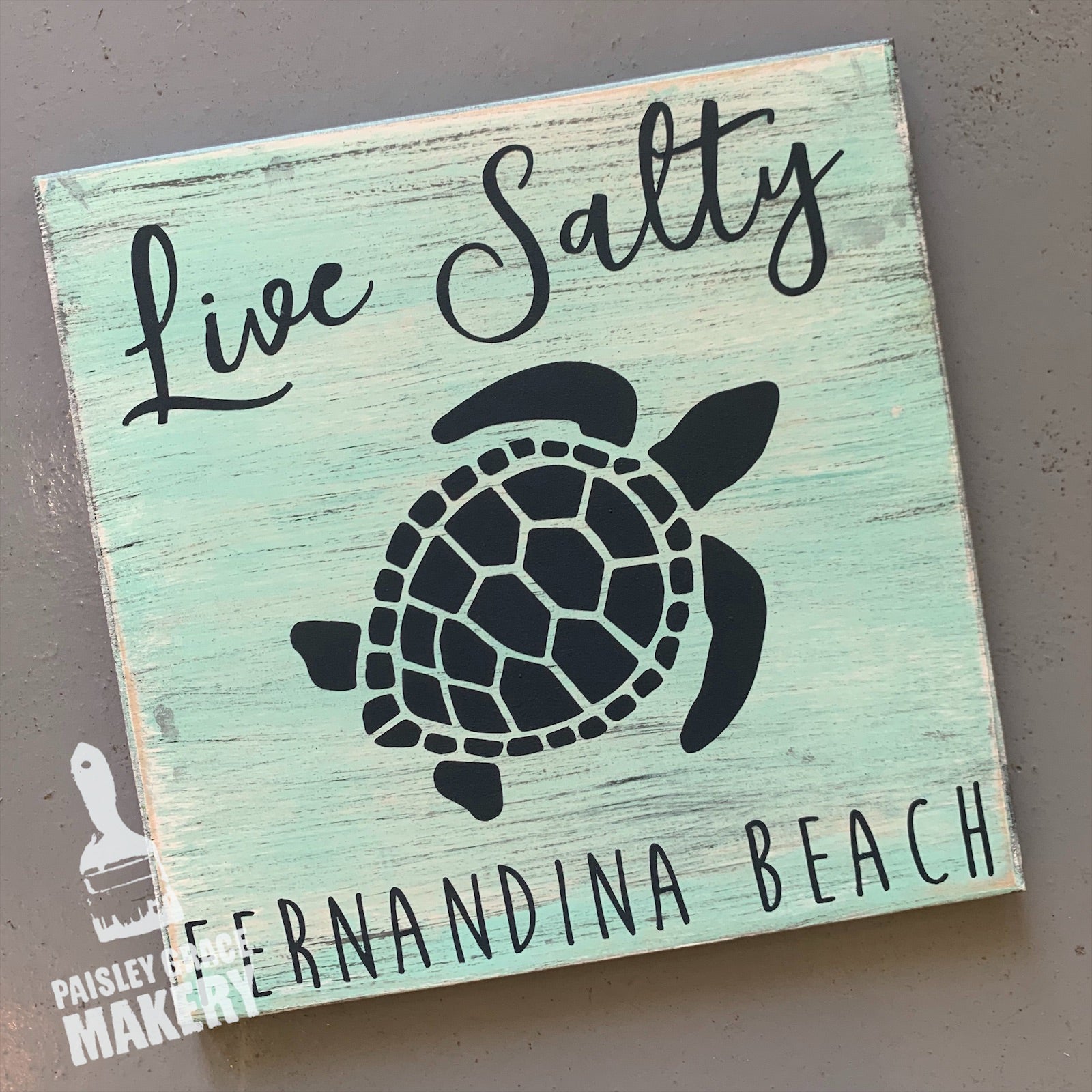 LIVE SALTY: MINI DESIGN - Paisley Grace Makery