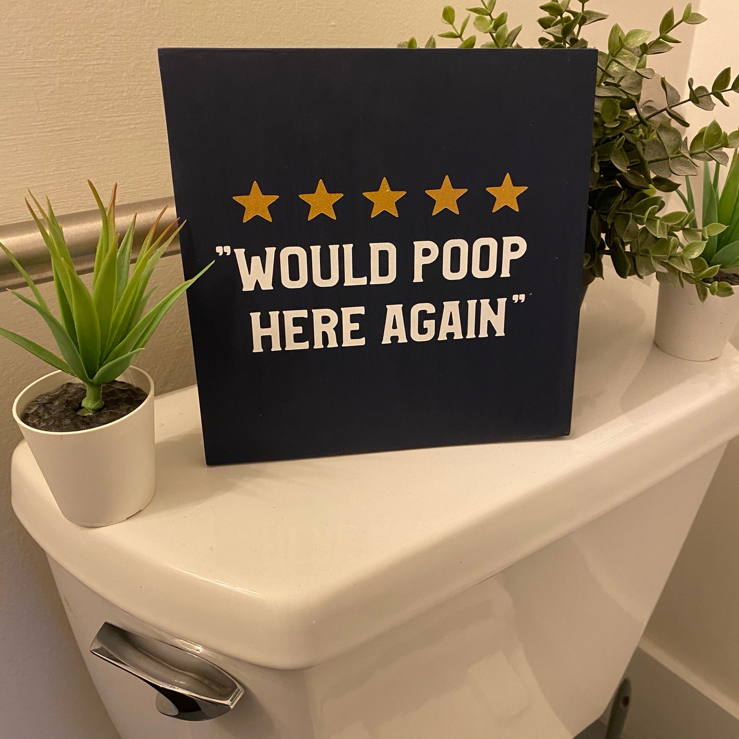 Would Poop Here Again (5 Stars): MINI DESIGN - Paisley Grace Makery