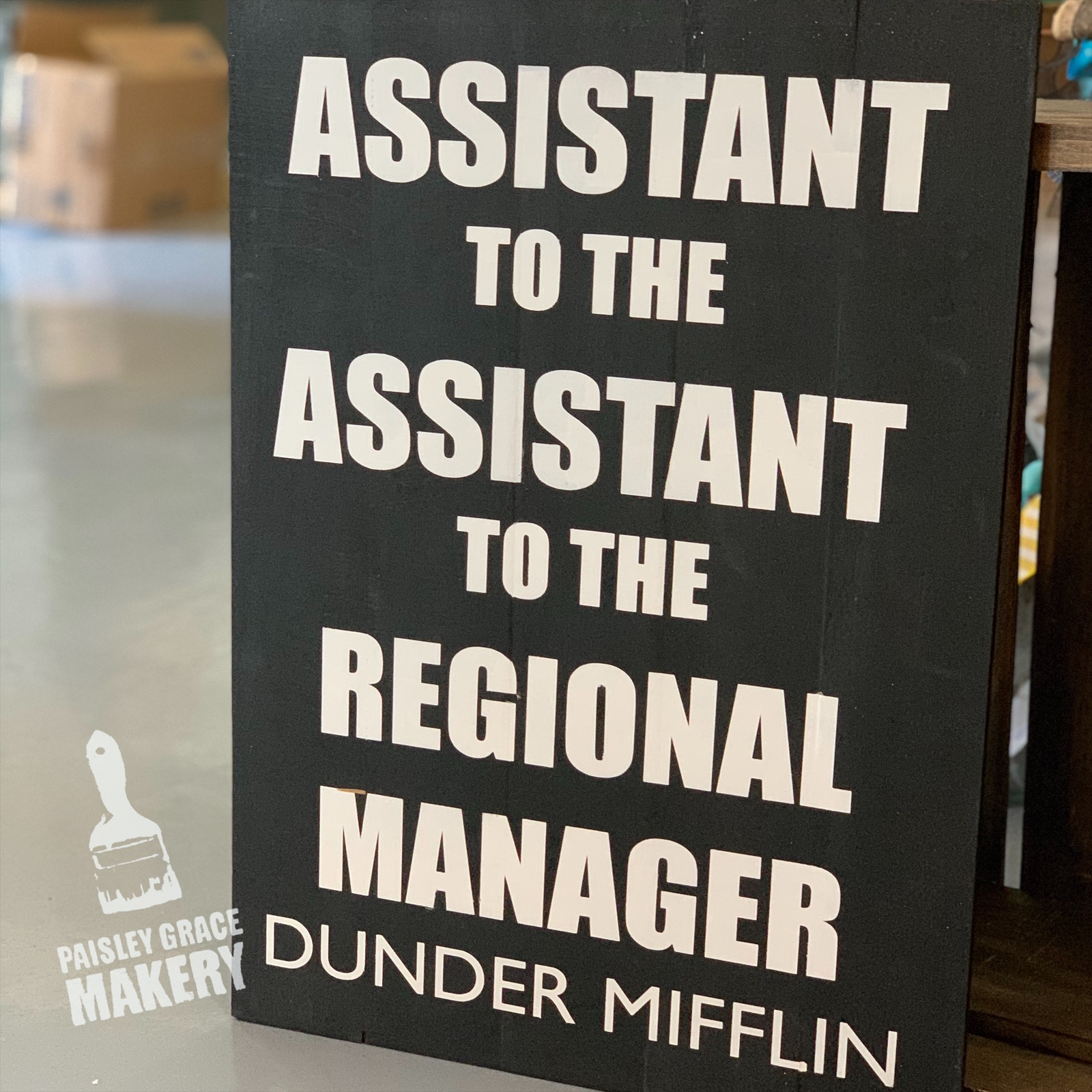 Assistant To The Assistant To The Regional Manager 15x20