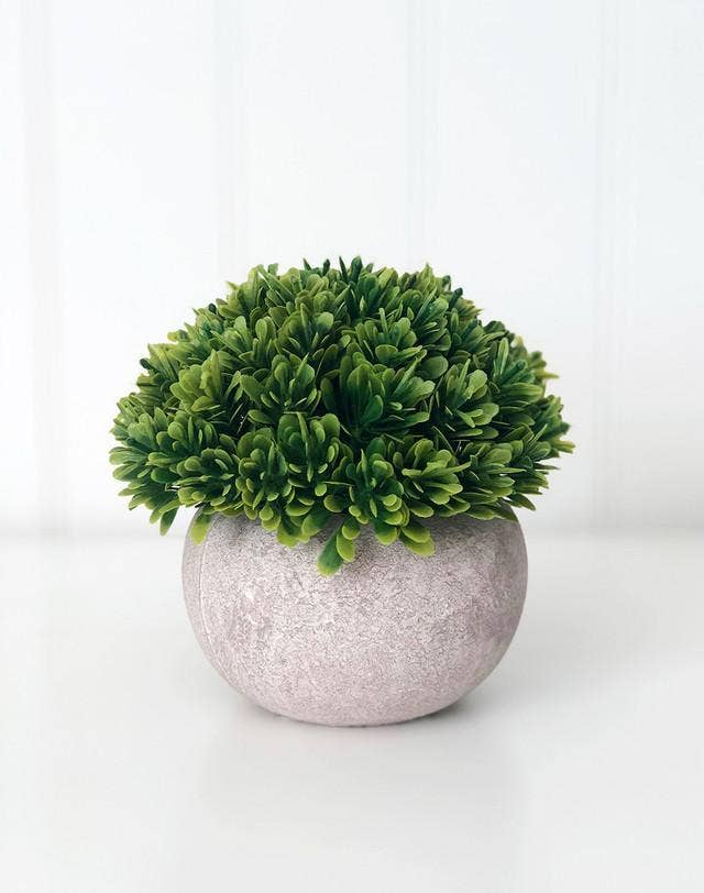 Tray Decor - Stone Pot & Foliage - Paisley Grace Makery